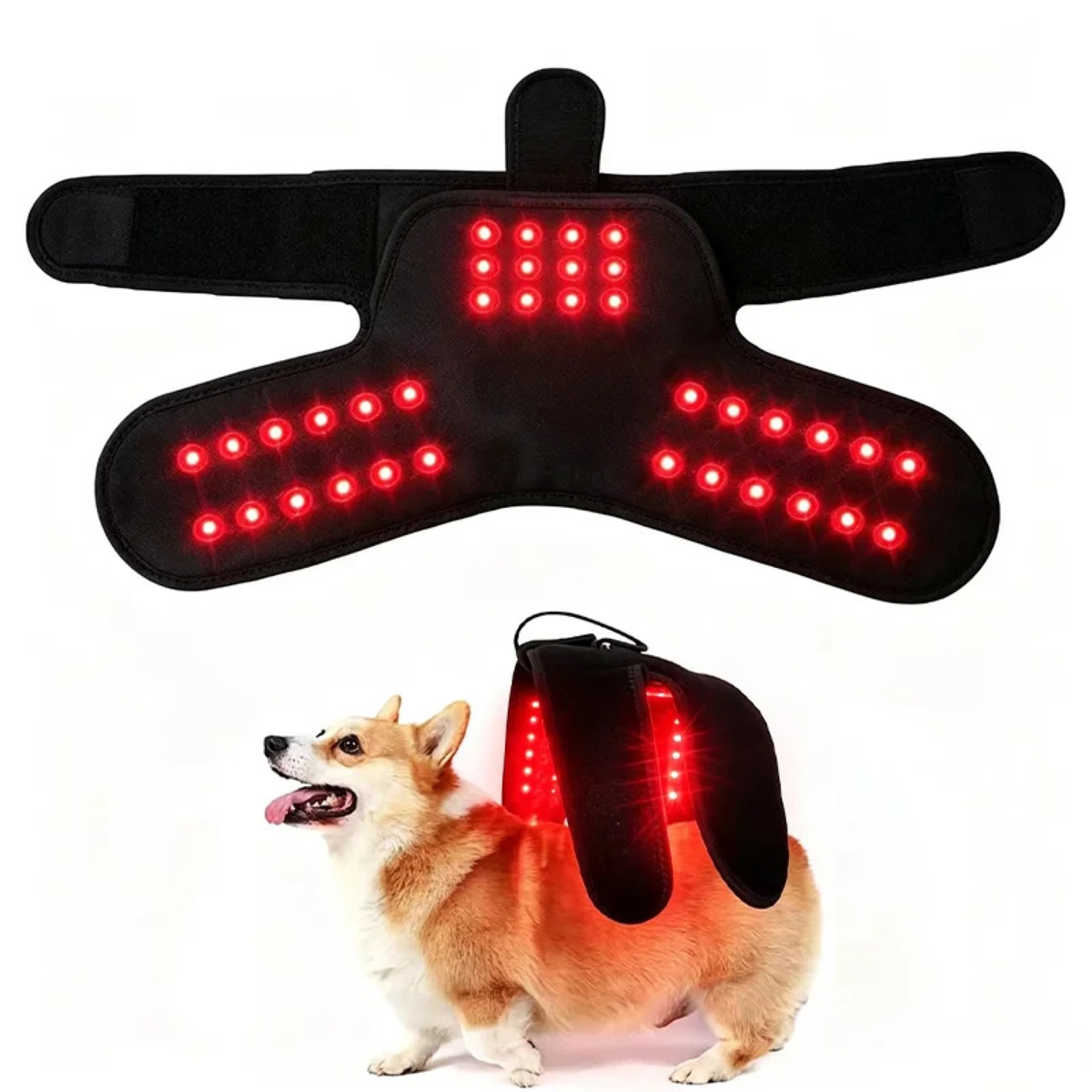 Purrelia Red Light Wrap for Pets, front view
