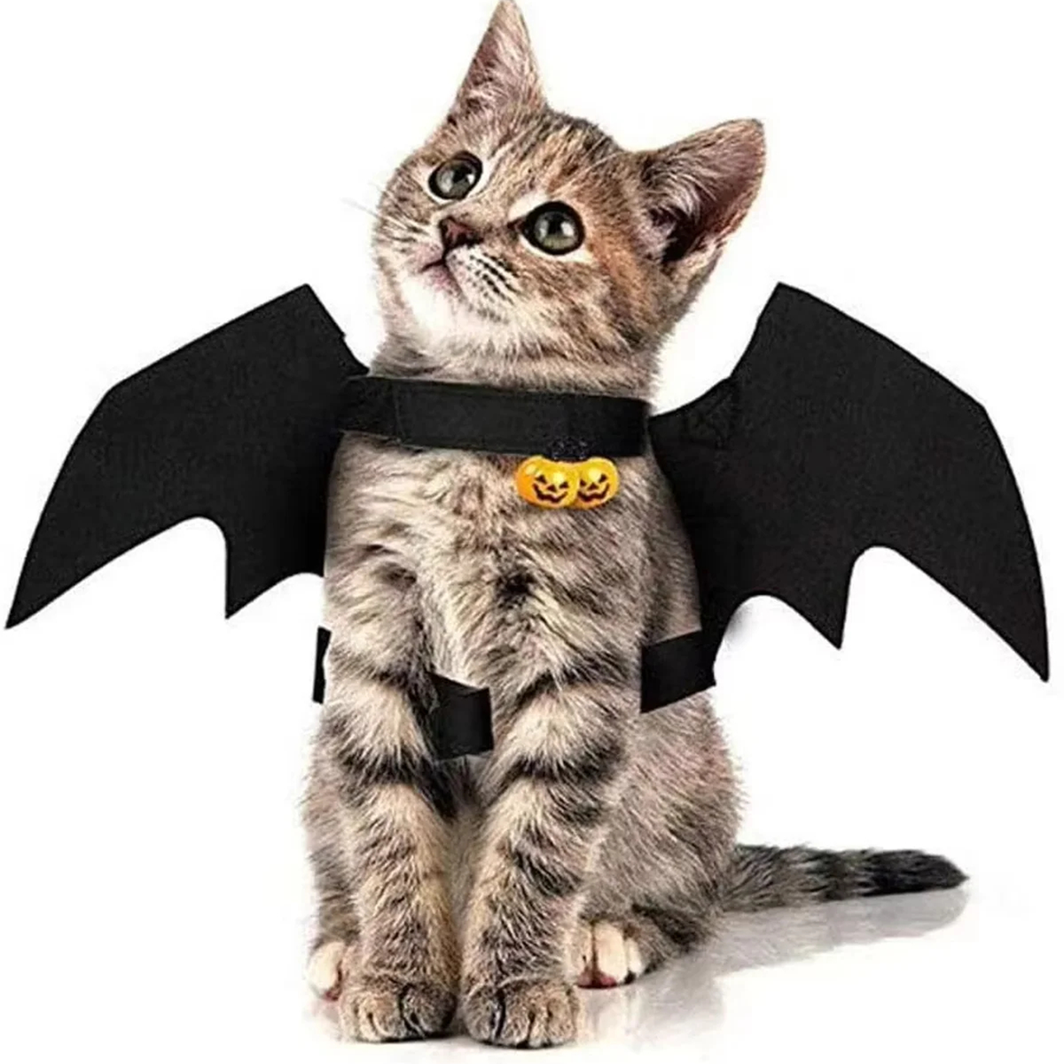 Purrelia Pet Bat Wings, front view