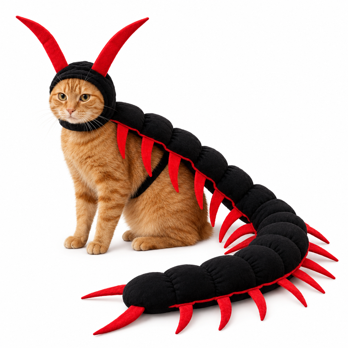 Purrelia Centipede Cat Costume, front view