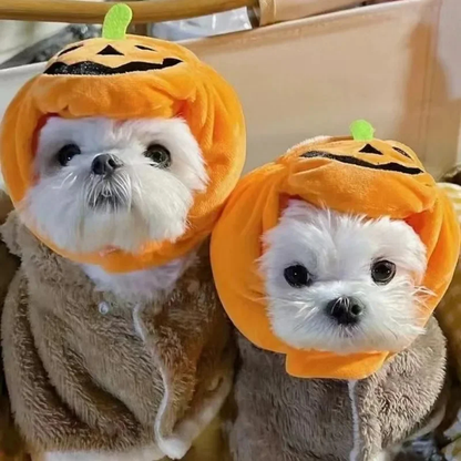 Purrelia Plush Pumpkin Pet Hat, view 2