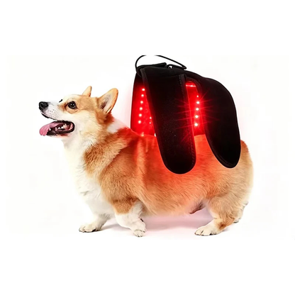 Purrelia Red Light Wrap for Pets, view 2