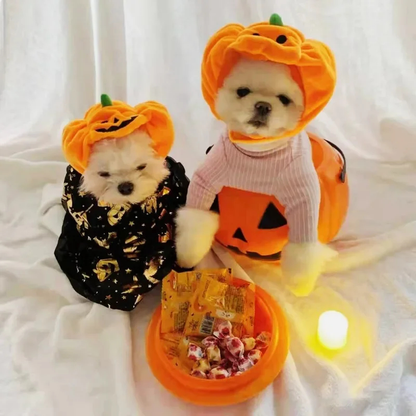 Purrelia Plush Pumpkin Pet Hat, view 3