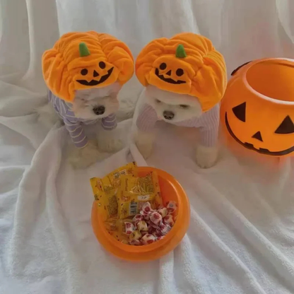 Purrelia Plush Pumpkin Pet Hat, view 4