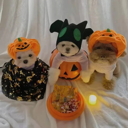 Purrelia Plush Pumpkin Pet Hat, view 5