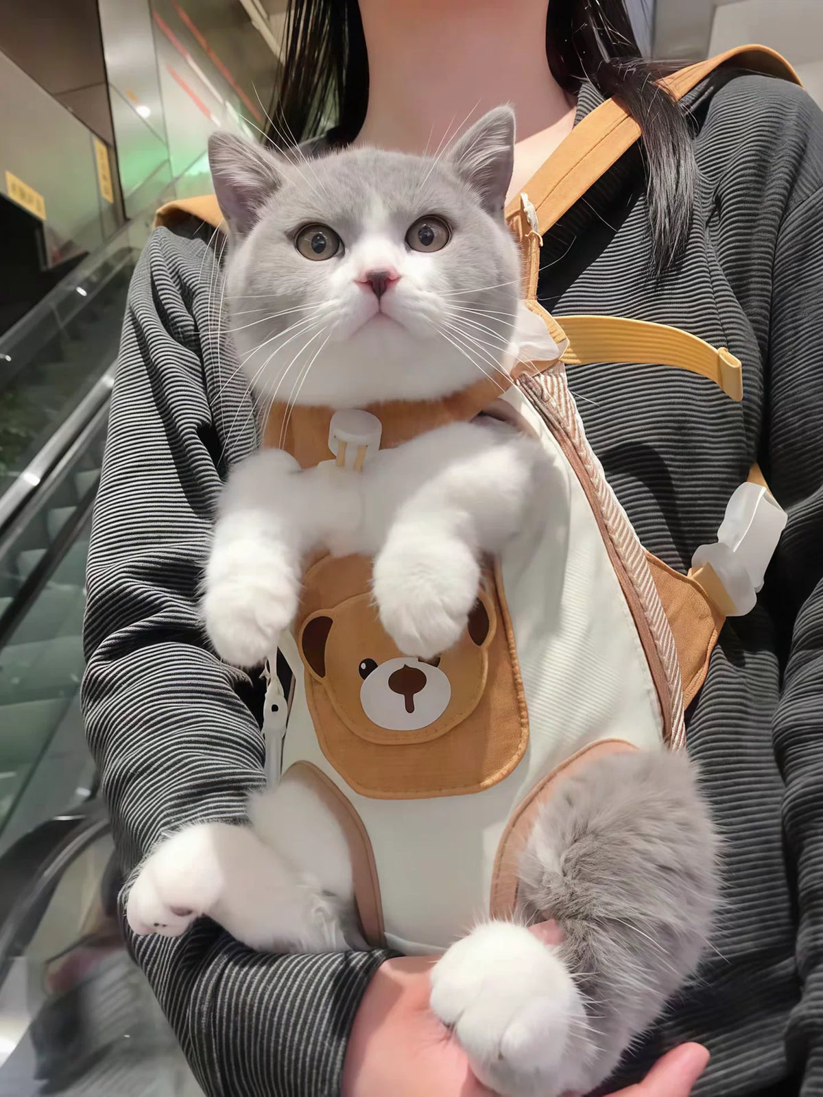 Purrelia Pet Carrier Backpack, view 6