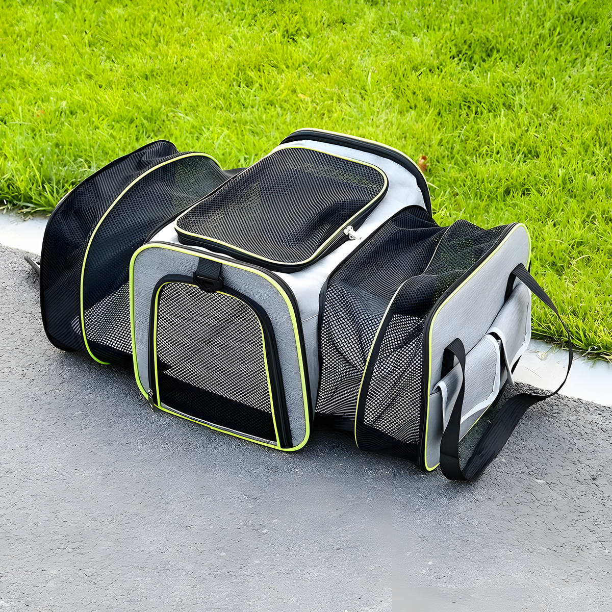 Purrelia Expandable Pet Travel Carrier in Green Trim