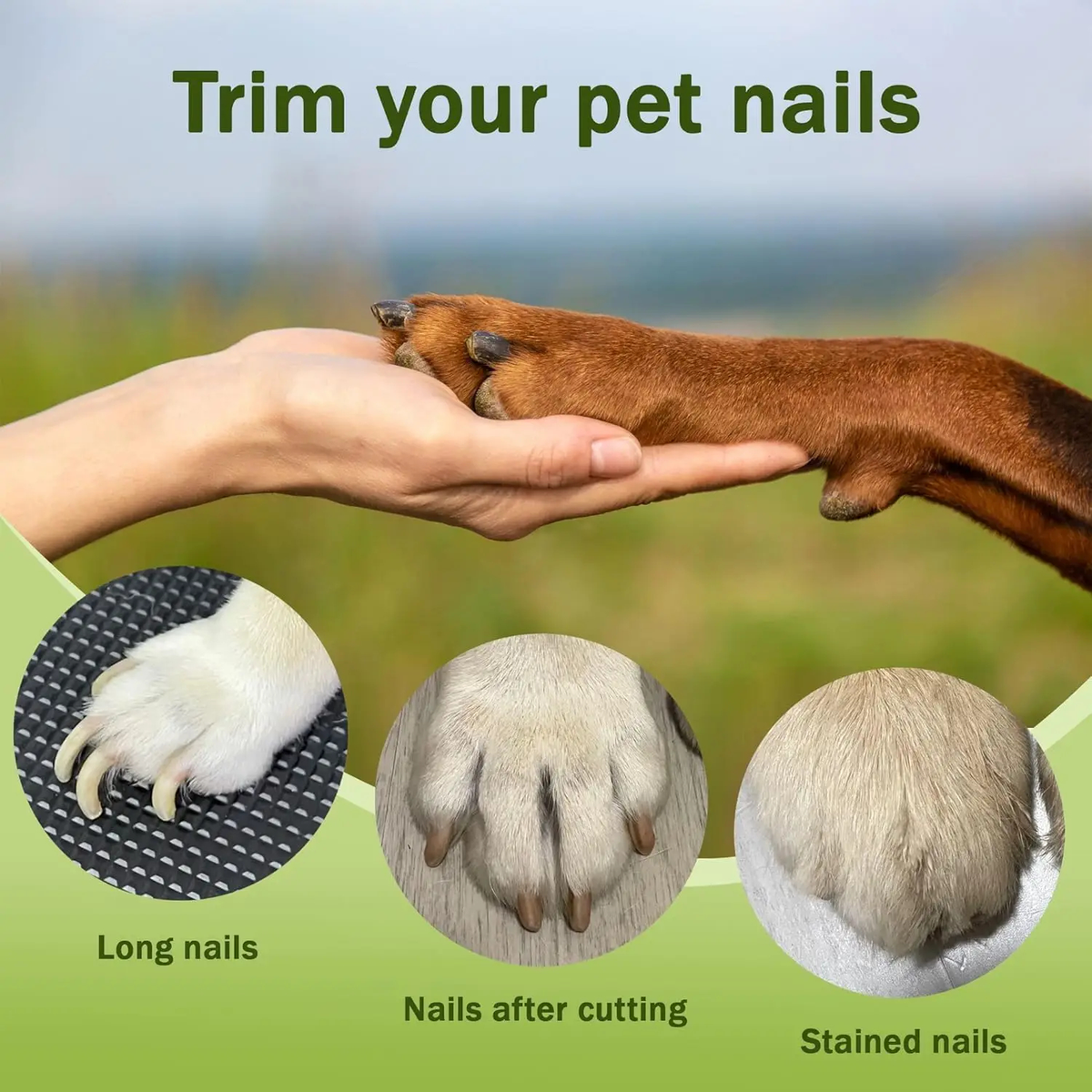 Purrelia LED Pet Nail Clipper, view 6