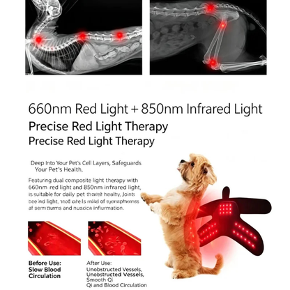 Purrelia Red Light Wrap for Pets, view 6