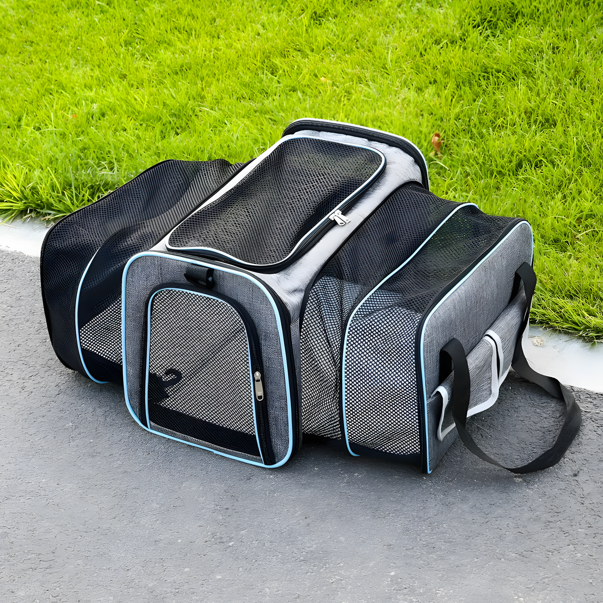 Purrelia Expandable Pet Travel Carrier in Blue Trim