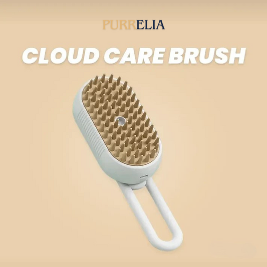 CLOUD CARE BRUSH